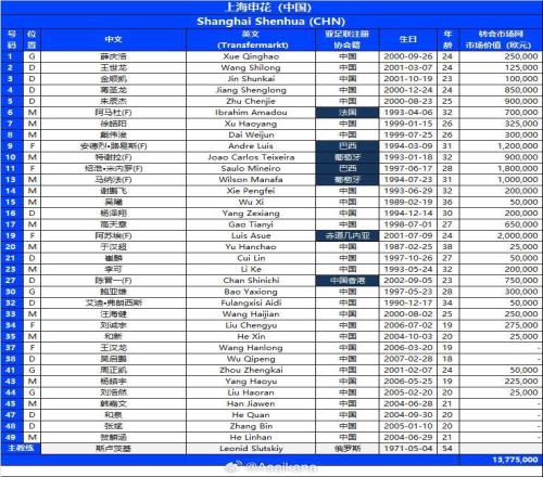 上海申花亞冠名單：共35名球員入選，7外援齊整